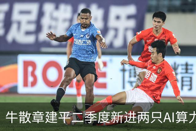 牛散章建平二季度新进两只AI算力股，妻子定增江淮汽车浮亏5.82亿